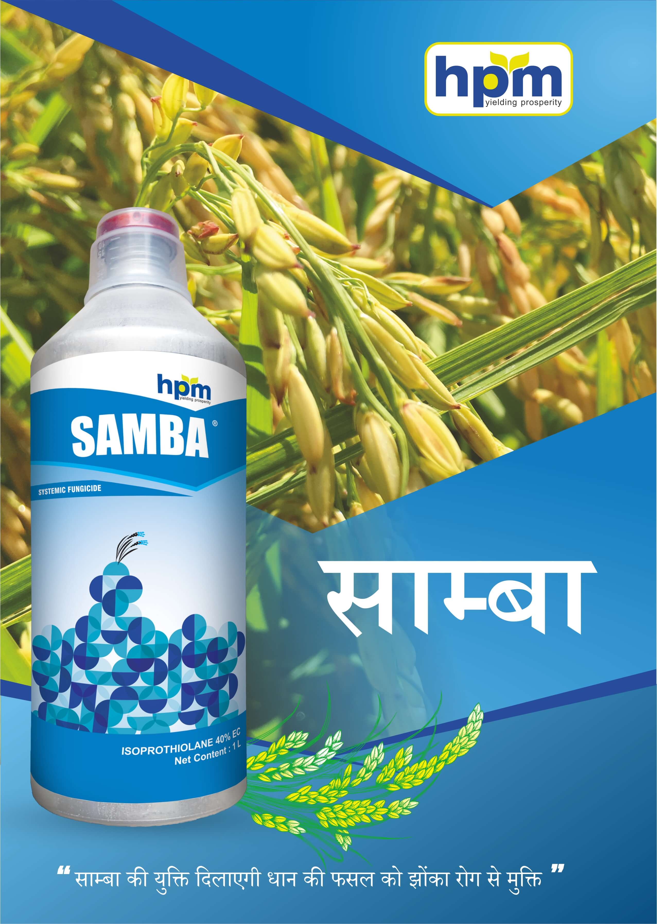 samba